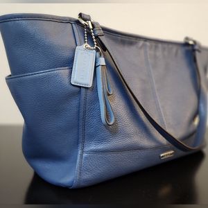 COACH Park Leather Carrie Tote